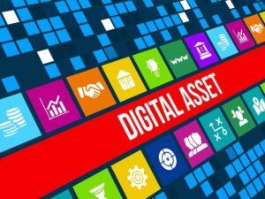 dig-assets