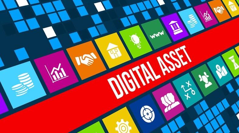 dig-assets